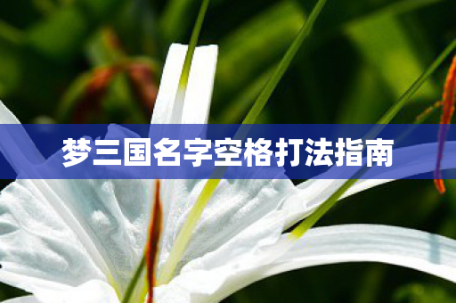 梦三国名字空格打法指南图片