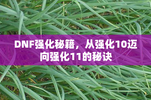 从强化10迈向强化11的秘诀图片