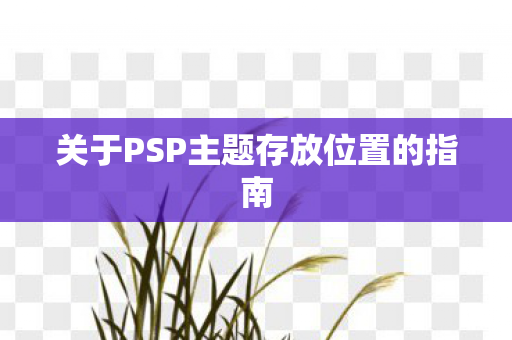 关于PSP主题存放位置的指南图片
