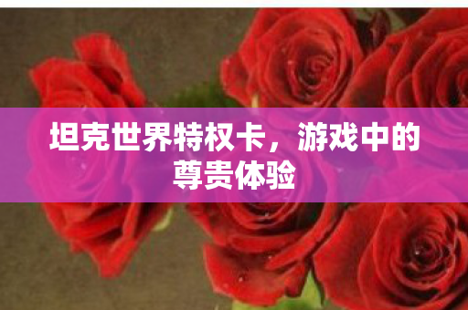 游戏中的尊贵体验图片