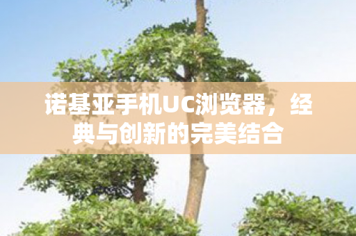 诺基亚手机UC浏览器图片