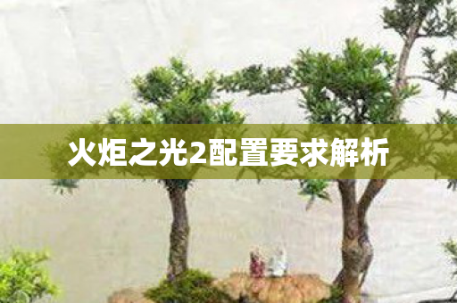 火炬之光2配置要求解析图片
