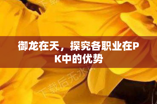 探究各职业在PK中的优势图片