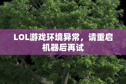 LOL游戏环境异常图片