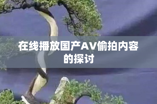 在线播放国产AV偷拍内容的探讨图片