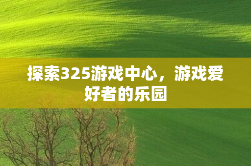 探索325游戏中心图片