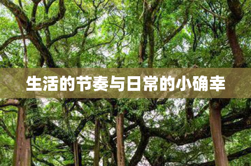 生活的节奏与日常的小确幸图片