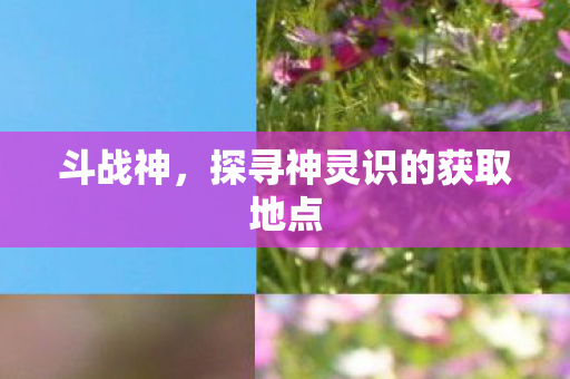 探寻神灵识的获取地点图片