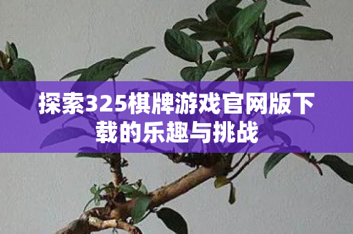 探索325棋牌游戏官网版下载的乐趣与挑战图片