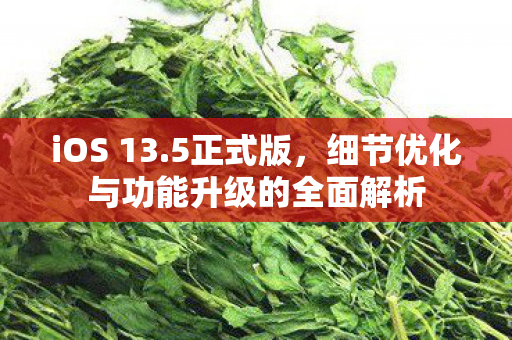 细节优化与功能升级的全面解析图片