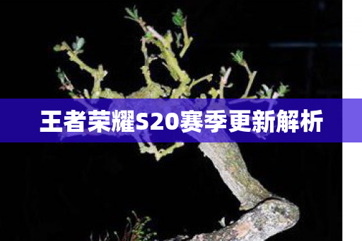 王者荣耀S20赛季更新解析图片