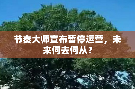 节奏大师宣布暂停运营图片