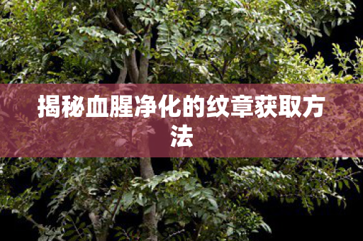 揭秘血腥净化的纹章获取方法图片