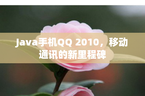 Java手机QQ 2010图片