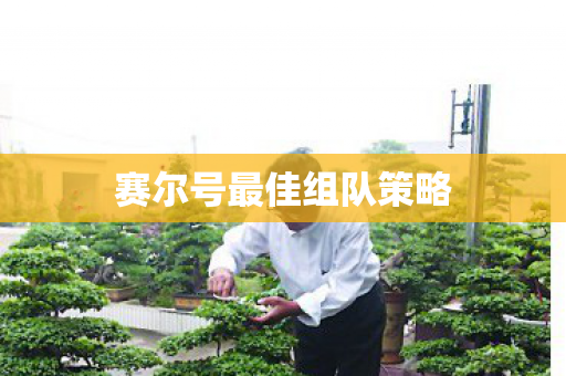 赛尔号最佳组队策略图片