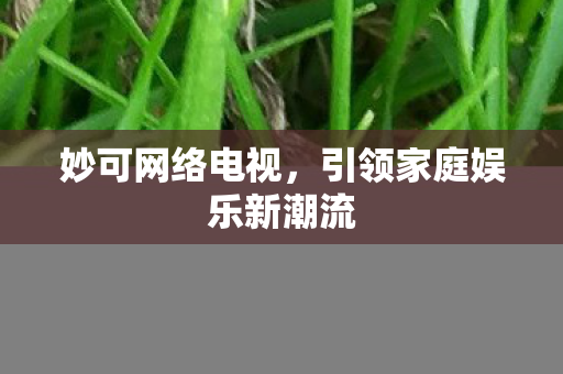 引领家庭娱乐新潮流图片