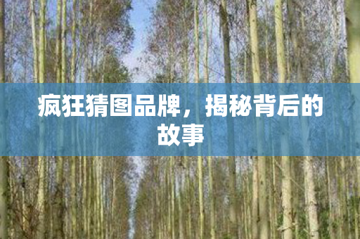 揭秘背后的故事图片