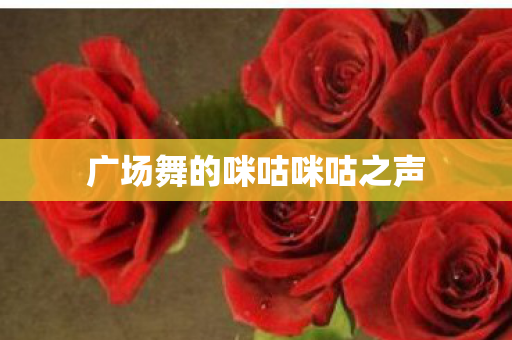 广场舞的咪咕咪咕之声图片