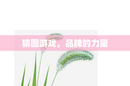 品牌的力量图片