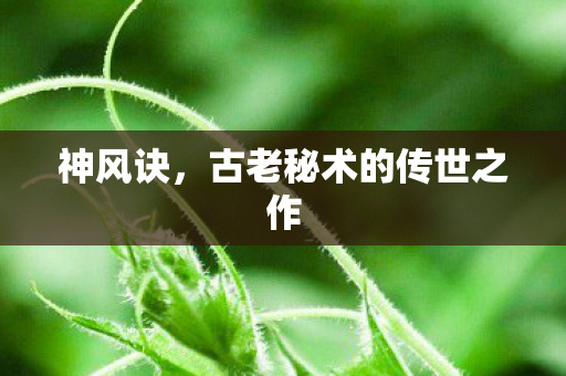 古老秘术的传世之作图片