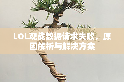 LOL观战数据请求失败图片