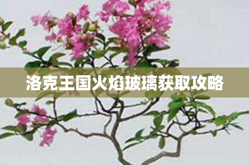 洛克王国火焰玻璃获取攻略图片