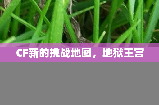 CF新的挑战地图图片