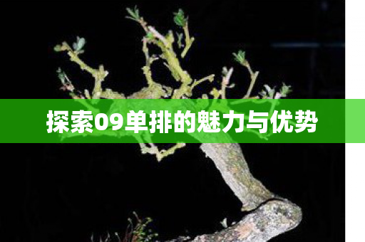 探索09单排的魅力与优势图片