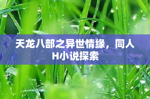 天龙八部之异世情缘图片