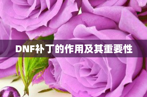 DNF补丁的作用及其重要性图片