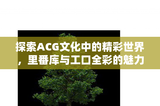 探索ACG文化中的精彩世界图片