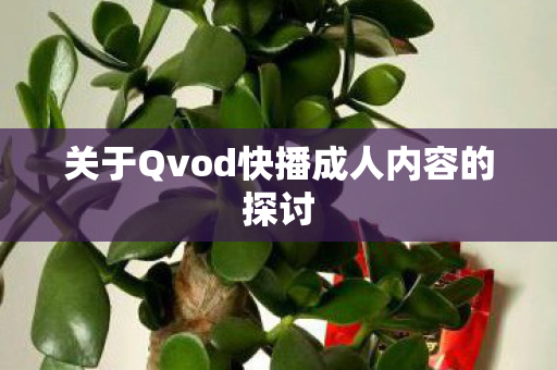关于Qvod快播成人内容的探讨图片