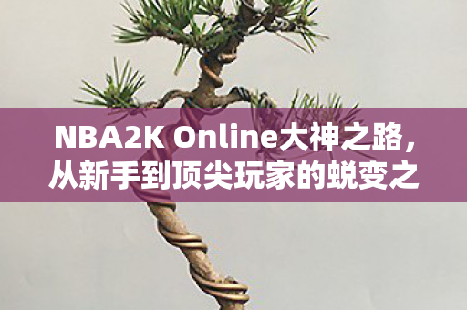 NBA2K Online大神之路图片