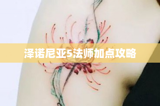 泽诺尼亚5法师加点攻略图片