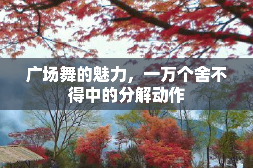 一万个舍不得中的分解动作图片