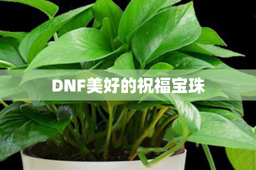 DNF美好的祝福宝珠图片