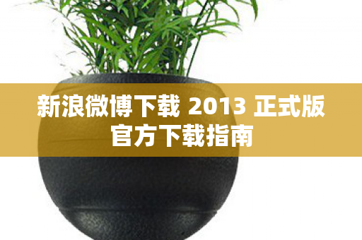 新浪微博下载 2013 正式版官方下载指南图片