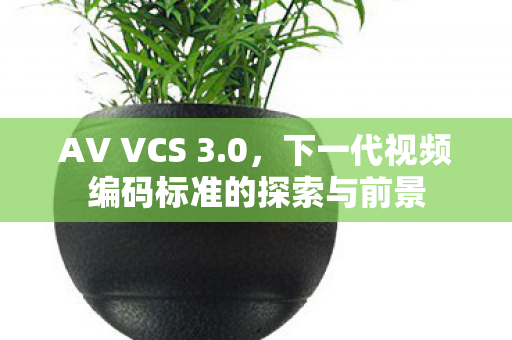 下一代视频编码标准的探索与前景图片