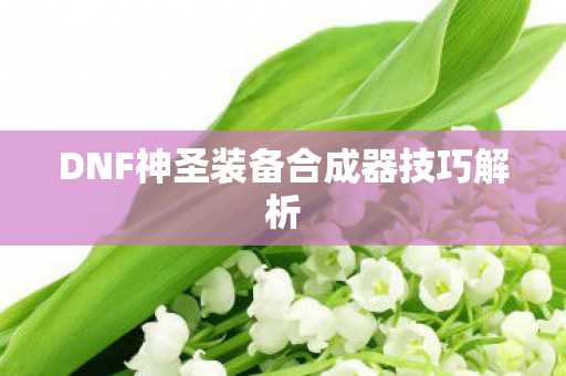 DNF神圣装备合成器技巧解析图片