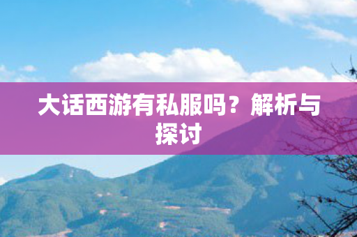 大话西游有私服吗图片