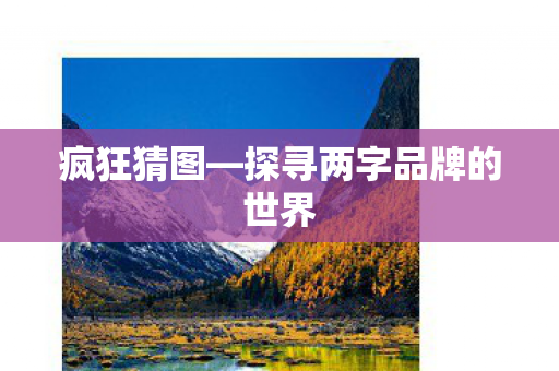 探寻两字品牌的世界图片