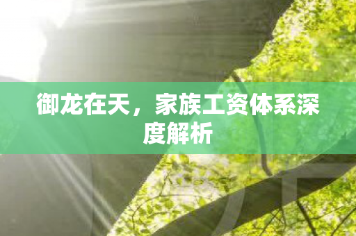 家族工资体系深度解析图片