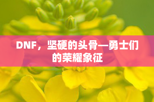 勇士们的荣耀象征图片