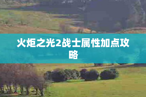 火炬之光2战士属性加点攻略图片