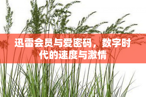 数字时代的速度与激情图片