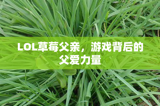 游戏背后的父爱力量图片