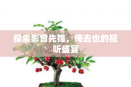 俺去也的视听盛宴图片