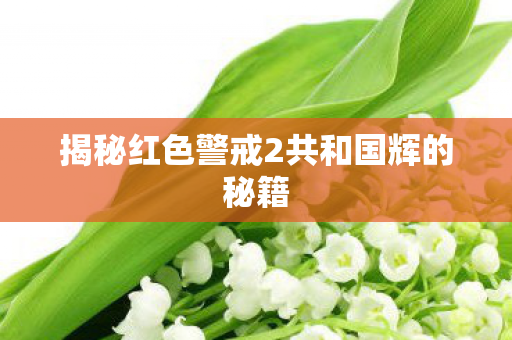 揭秘红色警戒2共和国辉的秘籍图片