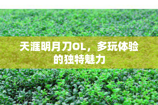 多玩体验的独特魅力图片