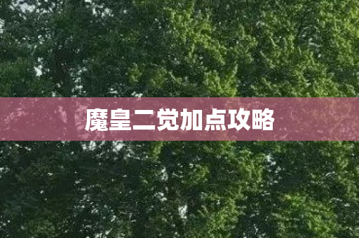 魔皇二觉加点攻略图片